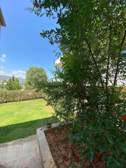 Nickolas Tiny Apartment Souda-Chania ハニア エクステリア 写真
